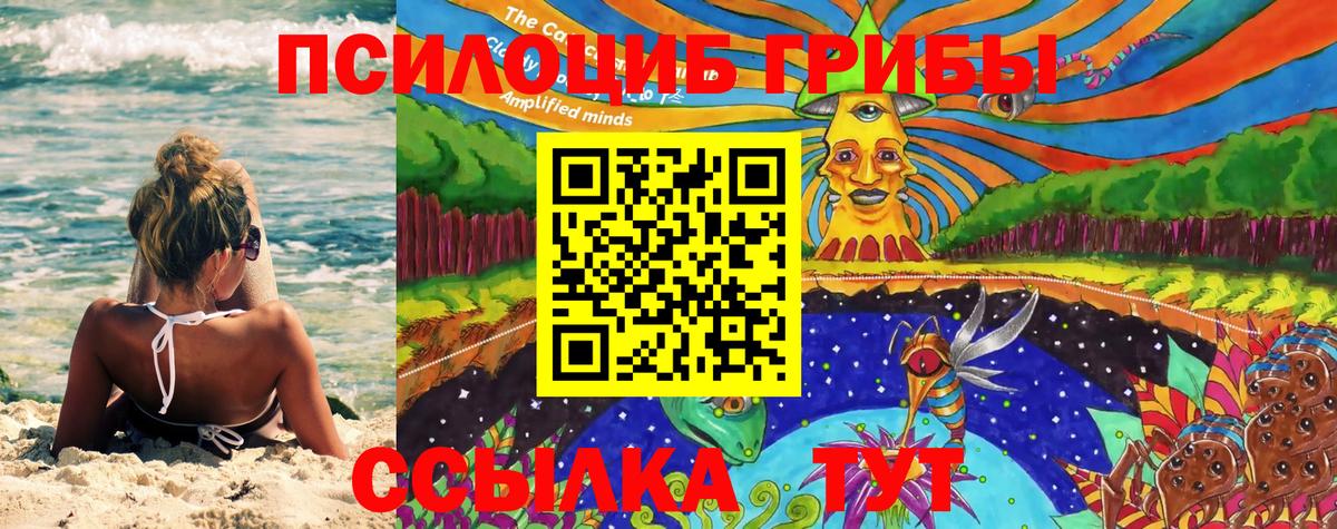 Гусь-Хрустальный  Галлюциногенные грибы GOLDEN TEACHER  цены   Вход с VPN 