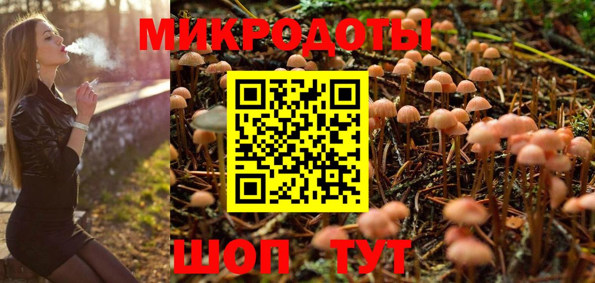 Псилоцибиновые грибы Psilocybine cubensis Гусь-Хрустальный